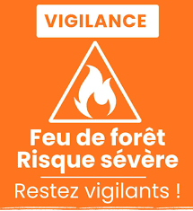 logo feu risque orange