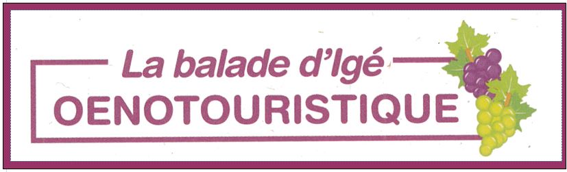 LOGO BALADE OENOTOURISTIQUE